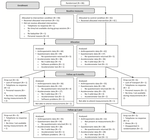 The effectiveness of Lifestyle Triple P in the Netherlands: a Randomized Controlled Trial